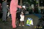 Ciro-Eurodogshow-2008.jpg