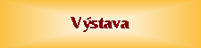 Vstava 